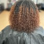 Root Touchup Single Process