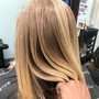 Partial Balayage(HairPainting)