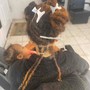 Adult Loc Re-twist