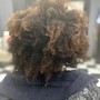 Root Touch Up