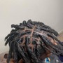 Starter Locs