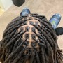 Starter Locs