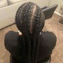 Feed in Braids