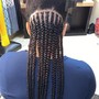 Kid’s Braids (12yo & younger)