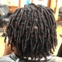 Starter  locs.