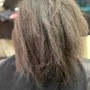 Root Touch Up