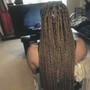 Lemonade Braids