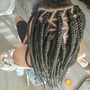 Kid's Big  Box Braids