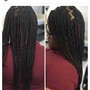 Box Braids