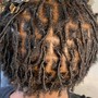 Starter Locs