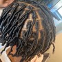 Starter Locs