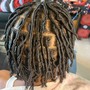 Starter Locs