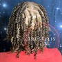 Starter Locs (Two Strand Twist)