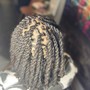 Full Head Soft Loc or Butterfly Touch Up