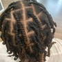 Two Strand Twists(no hair added)