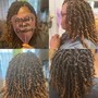 Crochet braids (shaved  sides)