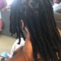 Loc Coils/ Starter Locs