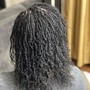 SNATCHED STARTER LOCS