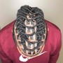 (Retwist only) Short Locs