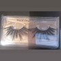 Strip Lashes