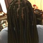 Kids box braids