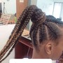 Braided ponytail