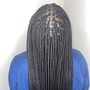 Regular Individual Braids