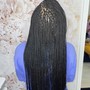 Regular Individual Braids