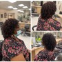 Sew-In (Traditional) no closure with leave out