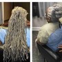 Comb Twist / starter locs