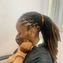 Starter Locs