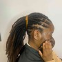 Starter Locs