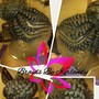 Kid's Crochet Braids