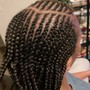 Feed-in  Braids