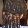 Soft/Boho Locs