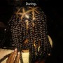 Poetic Justice Braids