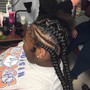 Sleek pony/braided pony