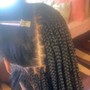 Natural hair Braids no hair added