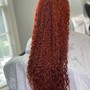 Permanent Color(Root Touch Up)