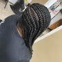 Havana Twists