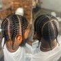 Knotless Braids (SM)