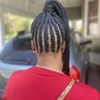 Box  braids (read description )