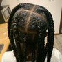 Lemonade fulani braids