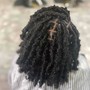 Butterfly locs (neck length)