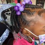 2 feed-in Braids