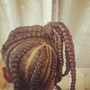 Tree Braids