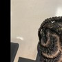 Small Senegalese Twist