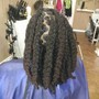 Beginner Locs (straight hair)