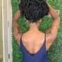 Silk  Press & Trim (Lowerback)