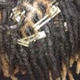 Natural Twists